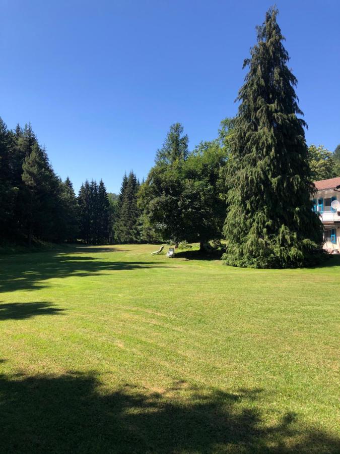 Agriturismo La Casa Nel Bosco Boveglio Dış mekan fotoğraf