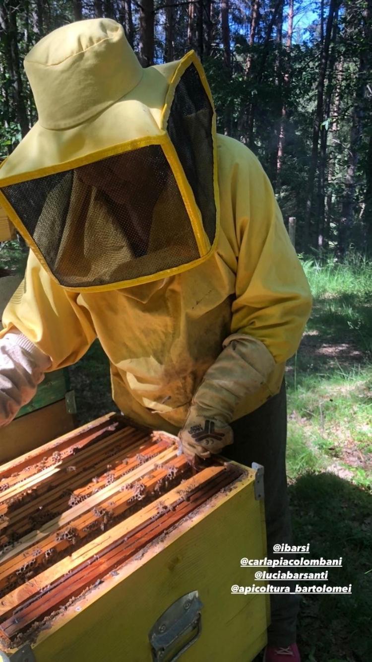 Agriturismo La Casa Nel Bosco Boveglio Dış mekan fotoğraf