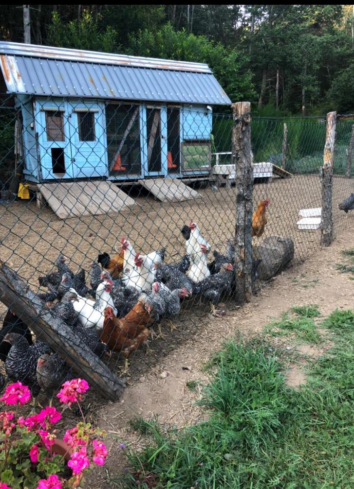 Agriturismo La Casa Nel Bosco Boveglio Dış mekan fotoğraf
