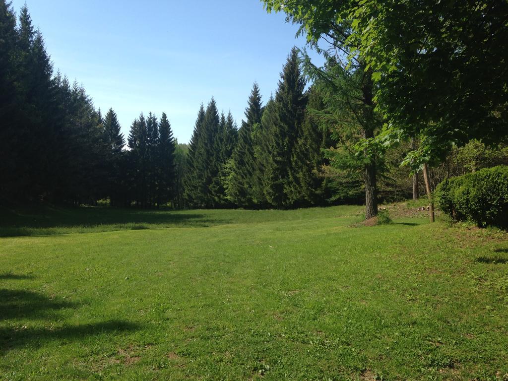 Agriturismo La Casa Nel Bosco Boveglio Dış mekan fotoğraf