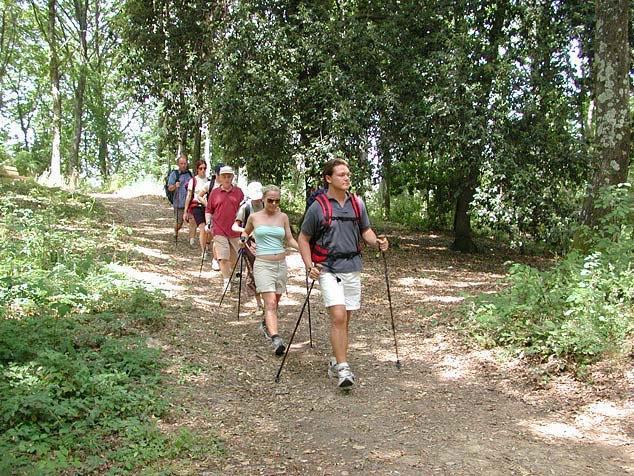 Agriturismo La Casa Nel Bosco Boveglio Dış mekan fotoğraf