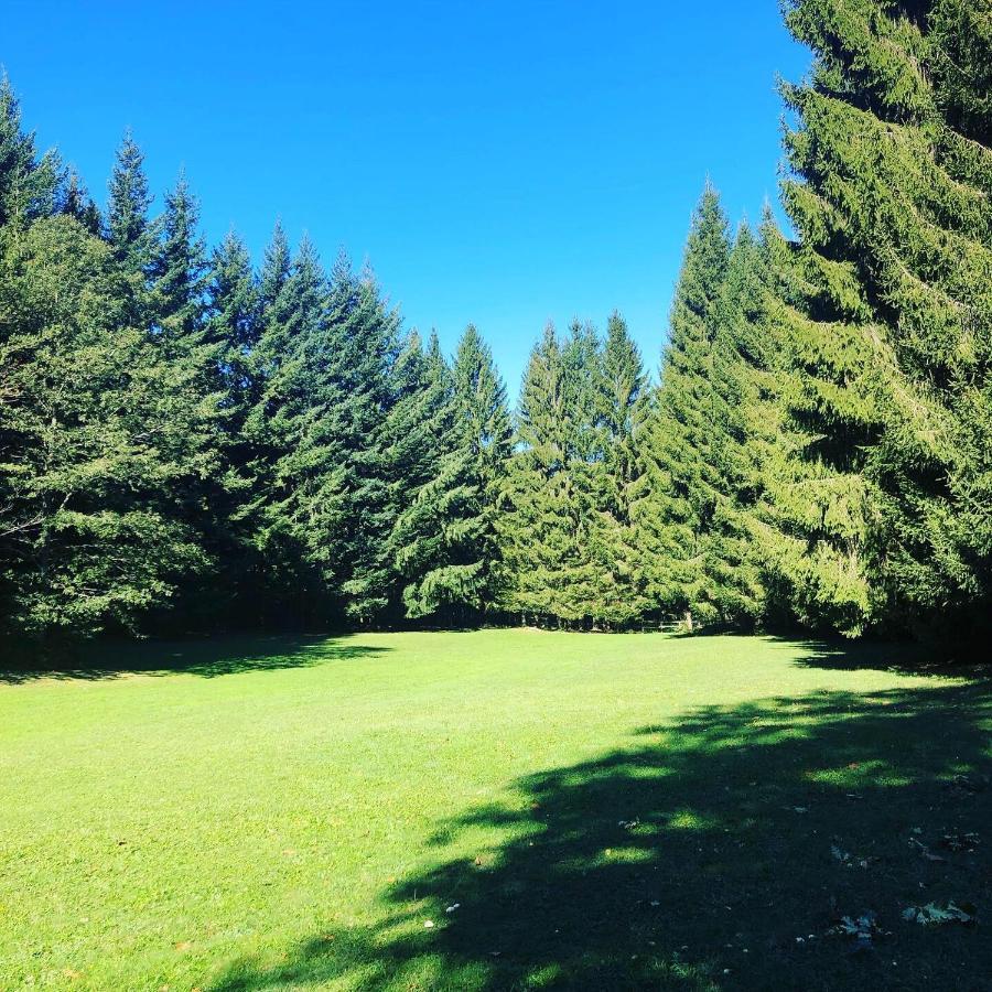 Agriturismo La Casa Nel Bosco Boveglio Dış mekan fotoğraf