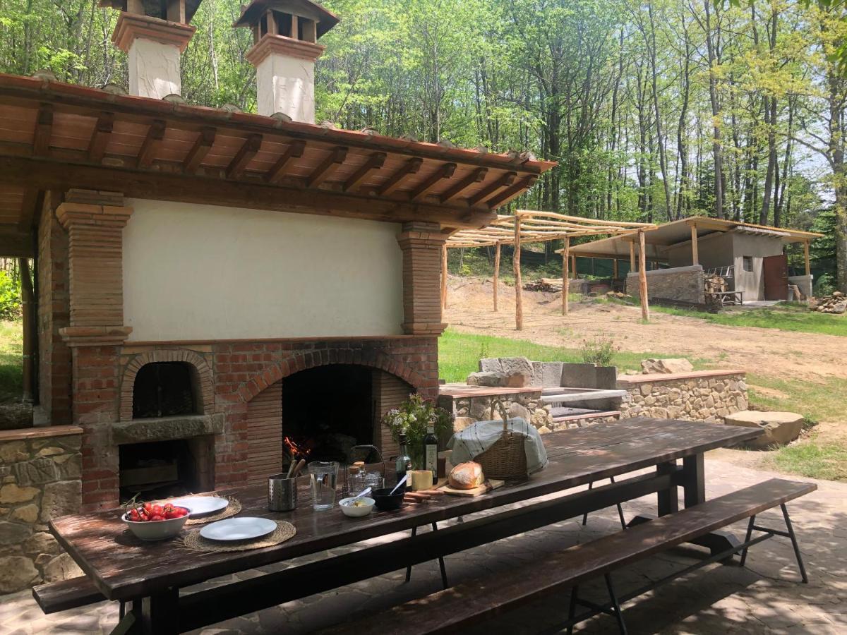 Agriturismo La Casa Nel Bosco Boveglio Dış mekan fotoğraf